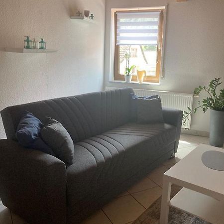 Dz Im Haus Maja Appartement Holzkirchen  Buitenkant foto